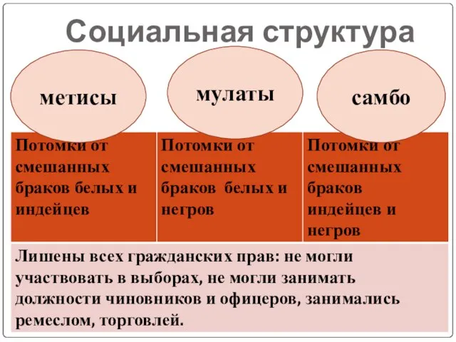 Социальная структура метисы мулаты самбо