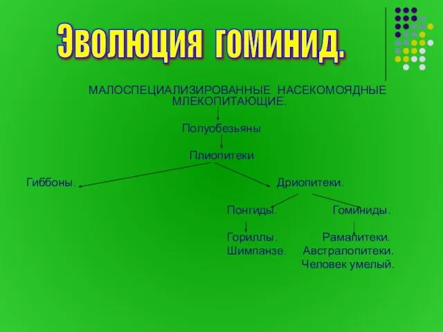 МАЛОСПЕЦИАЛИЗИРОВАННЫЕ НАСЕКОМОЯДНЫЕ МЛЕКОПИТАЮЩИЕ. Полуобезьяны Плиопитеки Гиббоны. Дриопитеки. Понгиды. Гоминиды. Гориллы. Рамапитеки. Шимпанзе.