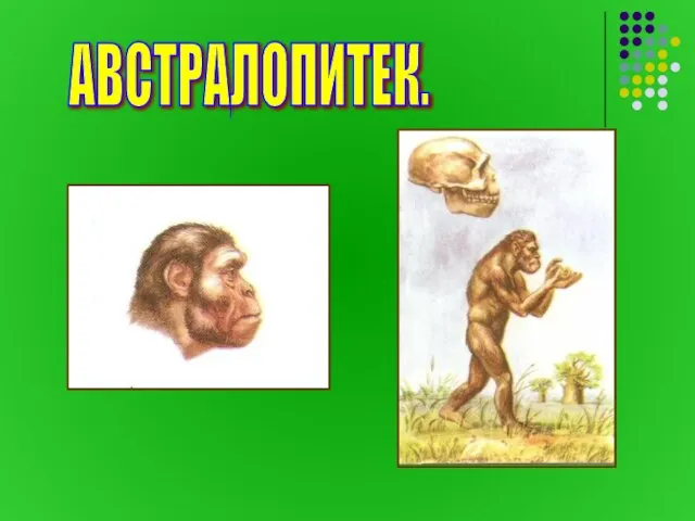 АВСТРАЛОПИТЕК.