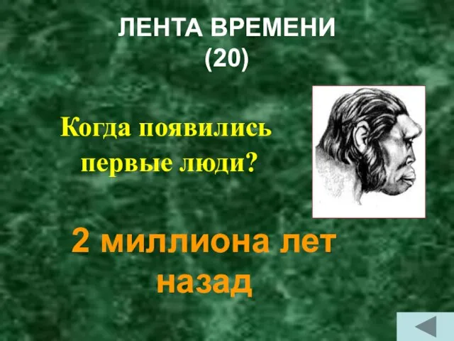 ЛЕНТА ВРЕМЕНИ (20) Когда появились первые люди? 2 миллиона лет назад