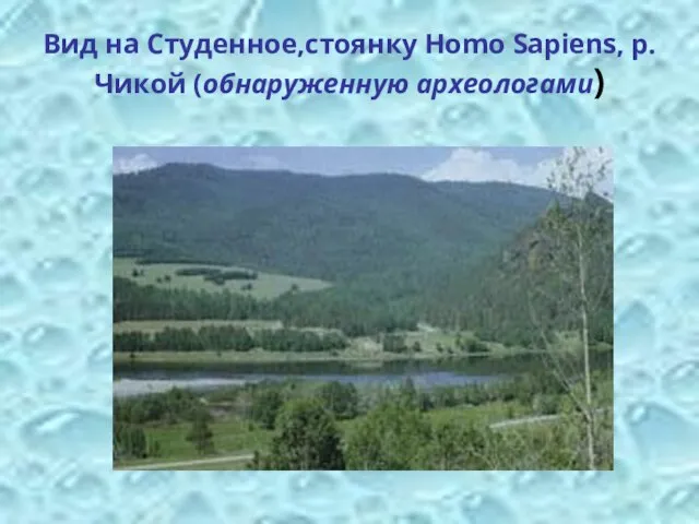 Вид на Студенное,стоянку Homo Sapiens, р. Чикой (обнаруженную археологами)