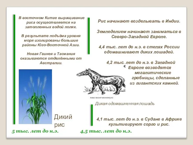 5 тыс. лет до н.э. 4,5 тыс. лет до н.э. В восточном