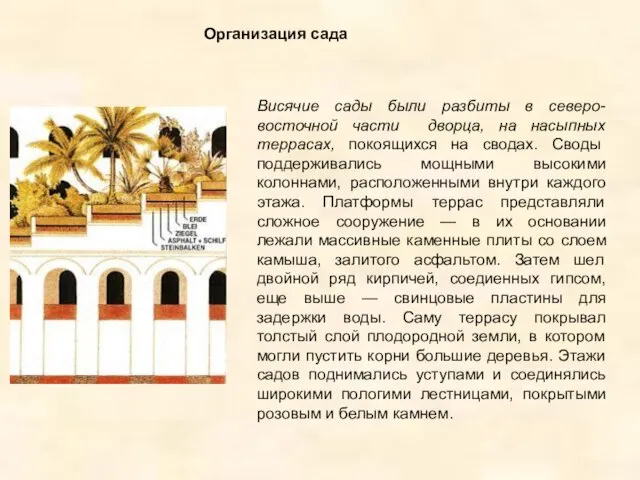 Висячие сады были разбиты в северо-восточной части дворца, на насыпных террасах, покоящихся