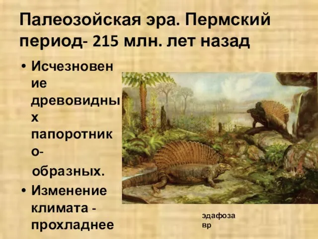 Палеозойская эра. Пермский период- 215 млн. лет назад Исчезновение древовидных папоротнико- образных.