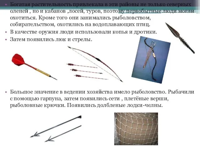 Богатая растительность привлекала в эти районы не только северных оленей , но