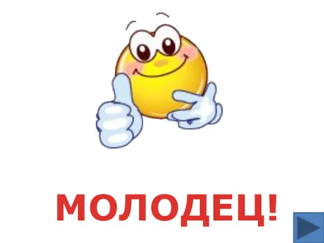 МОЛОДЕЦ!