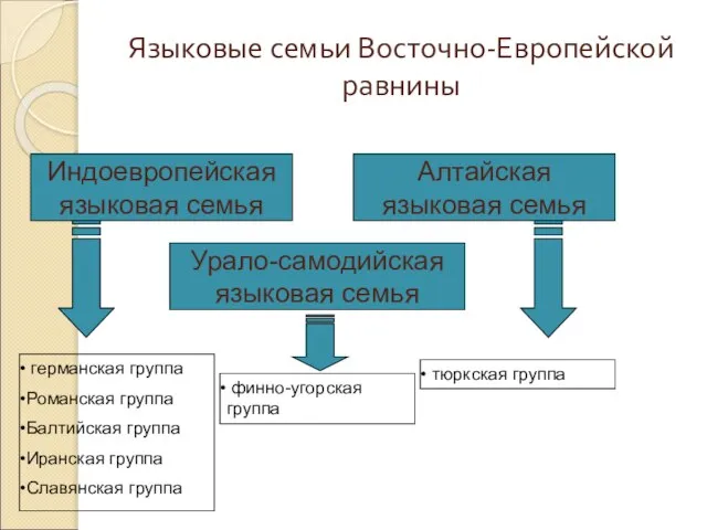 Языковые семьи Восточно-Европейской равнины Индоевропейская языковая семья Урало-самодийская языковая семья Алтайская языковая