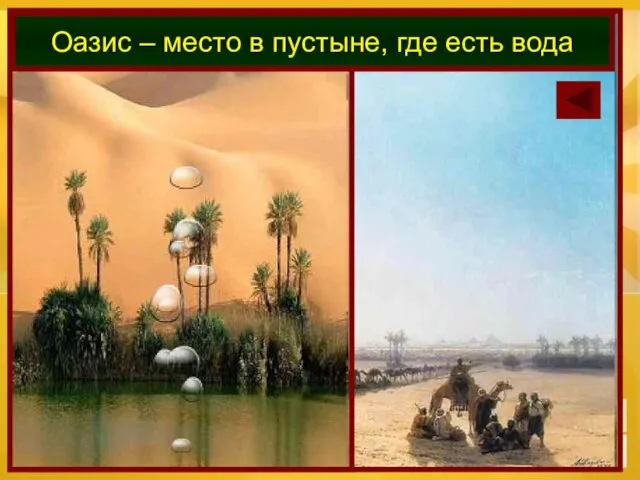 Оазис – место в пустыне, где есть вода