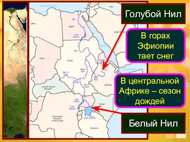 В горах Эфиопии тает снег В центральной Африке – сезон дождей Голубой Нил Белый Нил