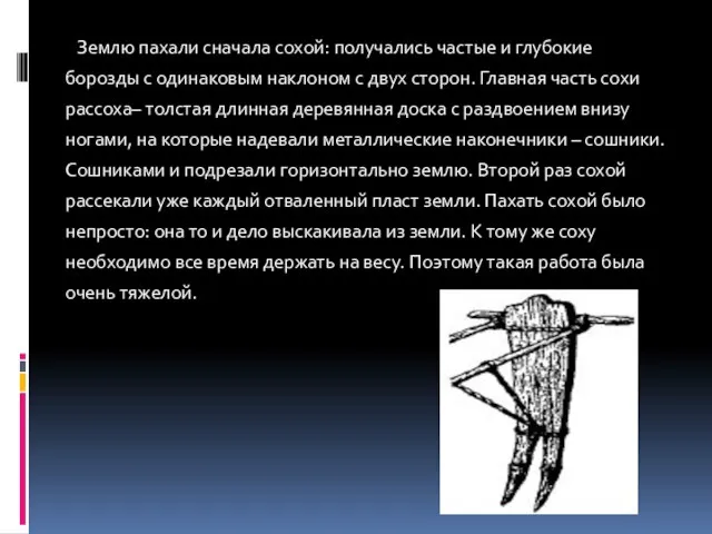 Землю пахали сначала сохой: получались частые и глубокие борозды с одинаковым наклоном