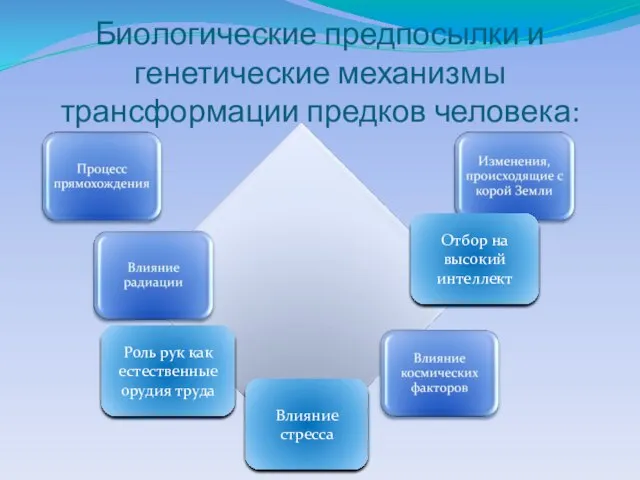 Биологические предпосылки и генетические механизмы трансформации предков человека: Отбор на высокий интеллект