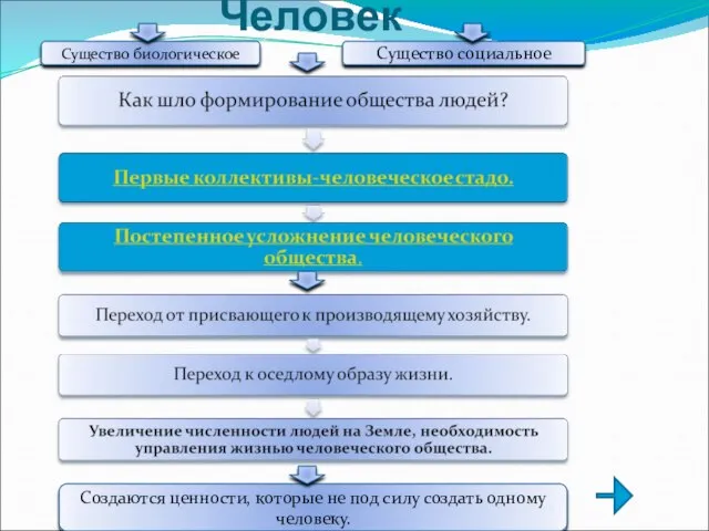 Человек Создаются ценности, которые не под силу создать одному человеку. Существо биологическое Существо социальное