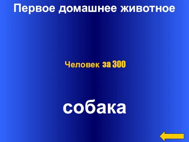 Первое домашнее животное собака Человек за 300