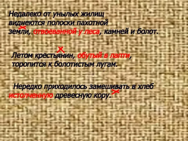 Недалеко от унылых жилищ виднеются полоски пахотной земли, отвоеванной у леса, камней