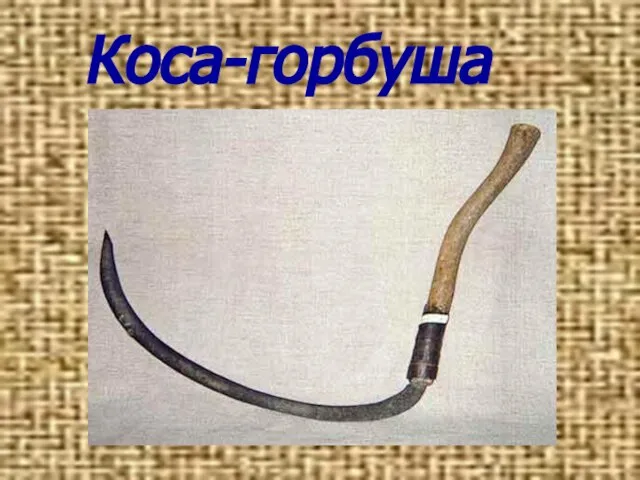 Коса-горбуша