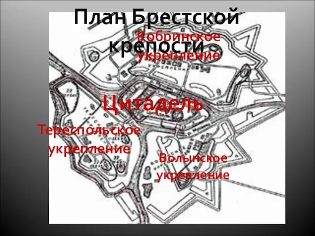 Цитадель Тереспольское укрепление Волынское укрепление Кобринское укрепление План Брестской крепости