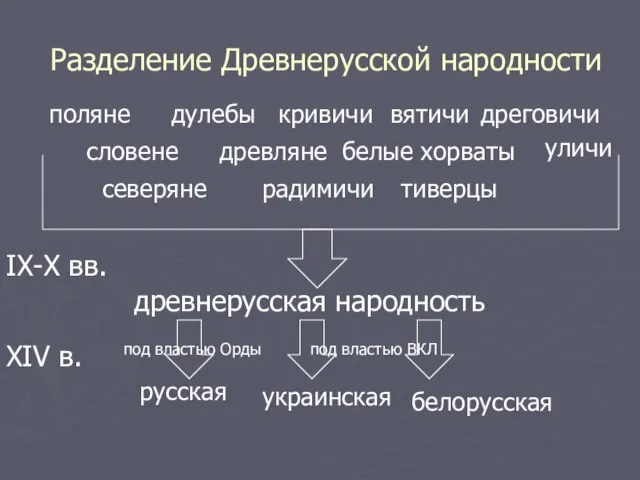 Разделение Древнерусской народности поляне древляне дреговичи радимичи вятичи кривичи словене дулебы белые