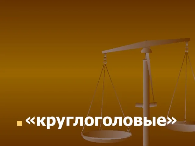 «круглоголовые»