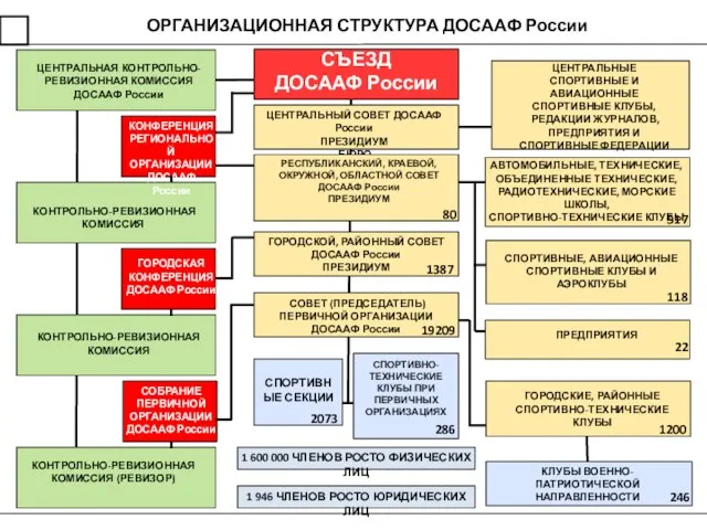 ОРГАНИЗАЦИОННАЯ СТРУКТУРА ДОСААФ России