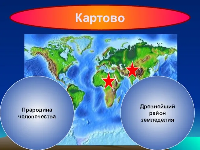 Картово Где найдены кости и древнейшие орудия труда древнейших людей? Прародина человечества Древнейший район земледелия