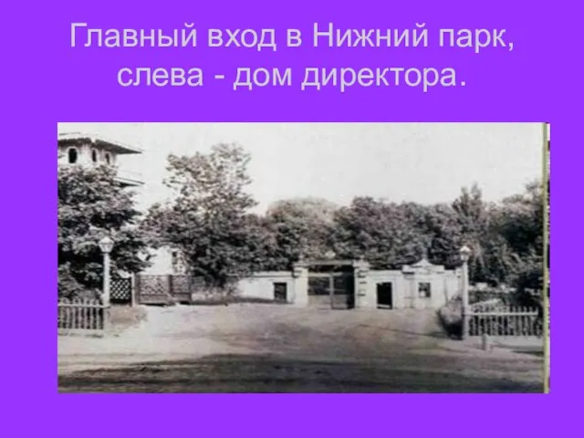 Главный вход в Нижний парк, слева - дом директора.