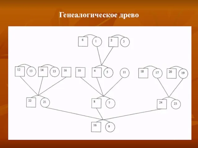 Генеалогическое древо