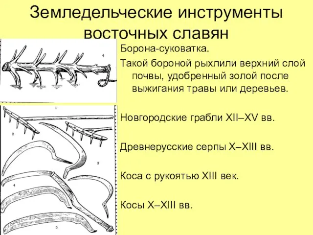 Земледельческие инструменты восточных славян Борона-суковатка. Такой бороной рыхлили верхний слой почвы, удобренный