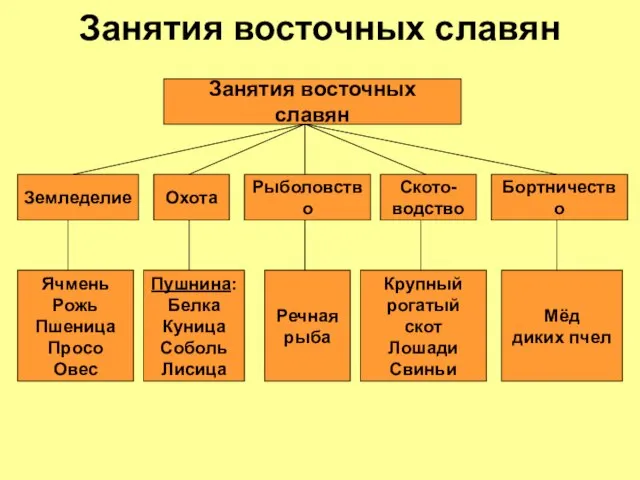 Занятия восточных славян Занятия восточных славян Земледелие Охота Рыболовство Ското- водство Бортничество