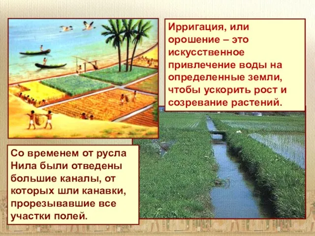 Ирригация, или орошение – это искусственное привлечение воды на определенные земли, чтобы