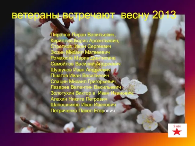 Пиралов Пиран Васильевич, Кириллов Борис Арсентьевич, Стрелков Иван Сергеевич Зюзин Михаил Матвеевич