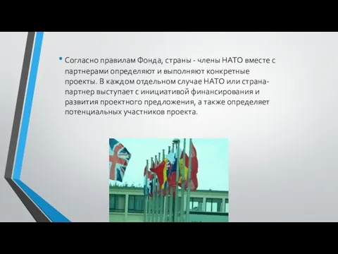 Согласно правилам Фонда, страны - члены НАТО вместе с партнерами определяют и