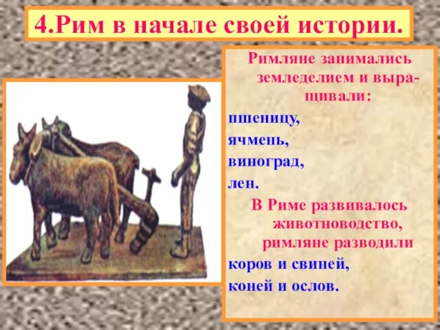 4.Рим в начале своей истории. Римляне занимались земледелием и выра-щивали: пшеницу, ячмень,