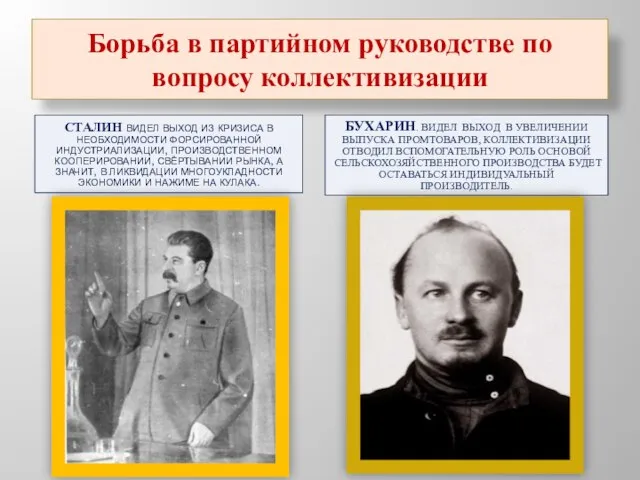 Борьба в партийном руководстве по вопросу коллективизации Сталин видел выход из кризиса