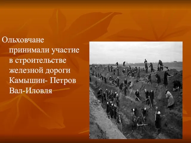 Ольховчане принимали участие в строительстве железной дороги Камышин- Петров Вал-Иловля