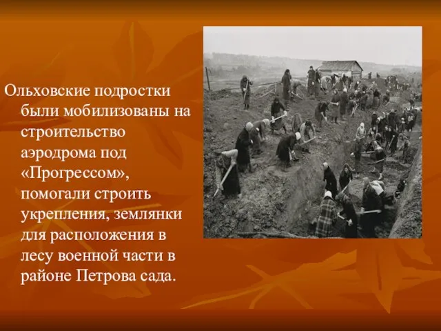 Ольховские подростки были мобилизованы на строительство аэродрома под «Прогрессом», помогали строить укрепления,