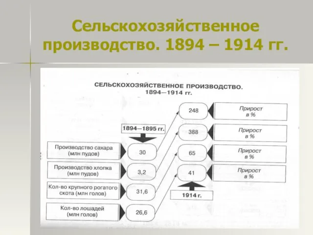 Сельскохозяйственное производство. 1894 – 1914 гг.