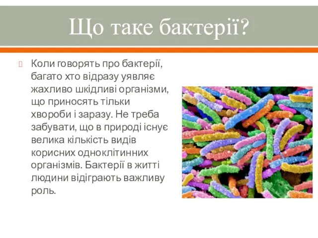 Що таке бактерії? Коли говорять про бактерії, багато хто відразу уявляє жахливо