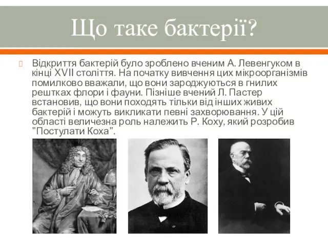 Що таке бактерії? Відкриття бактерій було зроблено вченим А. Левенгуком в кінці