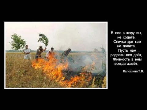 В лес в жару вы, не ходите, Спички зря там не палите,