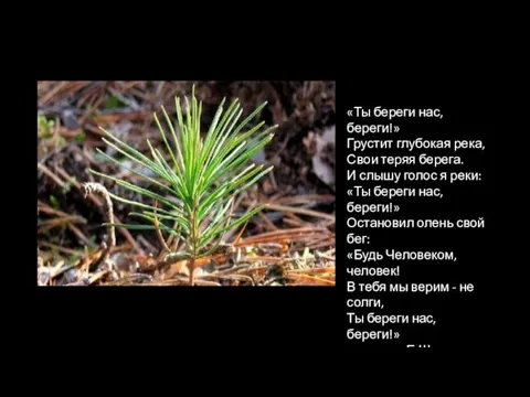 «Ты береги нас, береги!» Грустит глубокая река, Свои теряя берега. И слышу