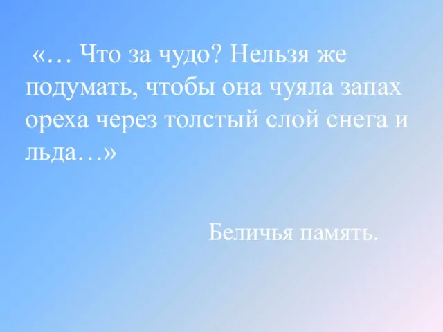 «… Что за чудо? Нельзя же подумать, чтобы она чуяла запах ореха