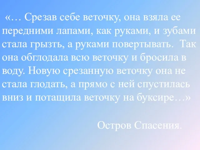 «… Срезав себе веточку, она взяла ее передними лапами, как руками, и