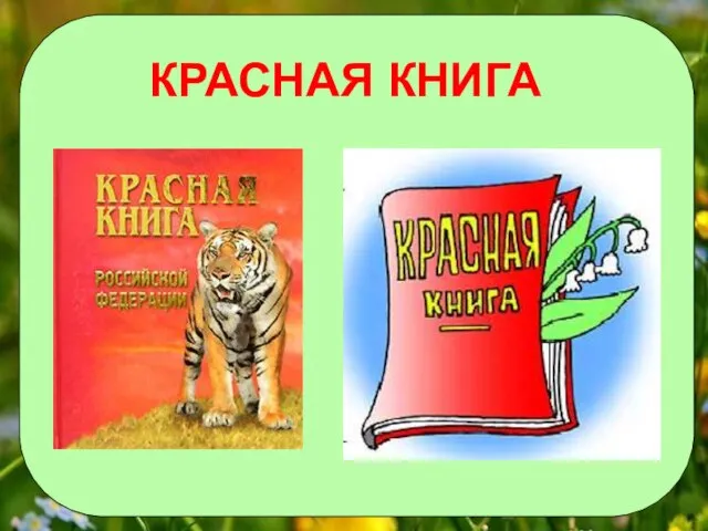 КРАСНАЯ КНИГА