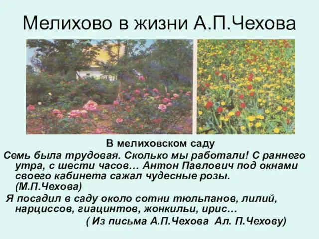 Мелихово в жизни А.П.Чехова В мелиховском саду Семь была трудовая. Сколько мы