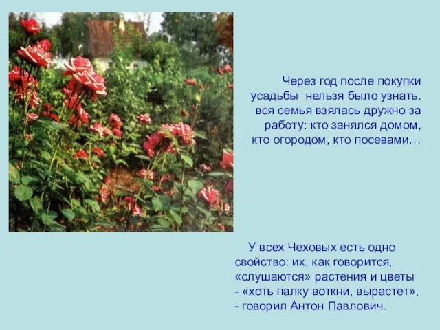 Через год после покупки усадьбы нельзя было узнать. вся семья взялась дружно