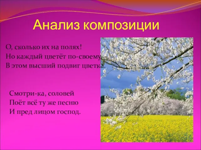 Анализ композиции О, сколько их на полях! Но каждый цветёт по-своему –