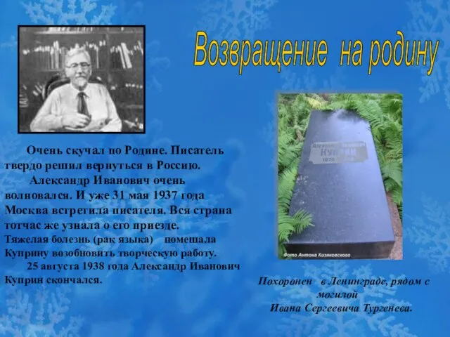 Очень скучал по Родине. Писатель твердо решил вернуться в Россию. Александр Иванович