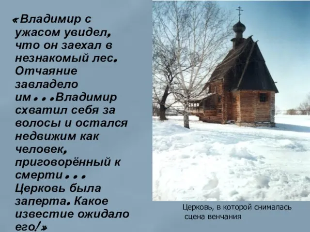 «Владимир с ужасом увидел, что он заехал в незнакомый лес. Отчаяние завладело