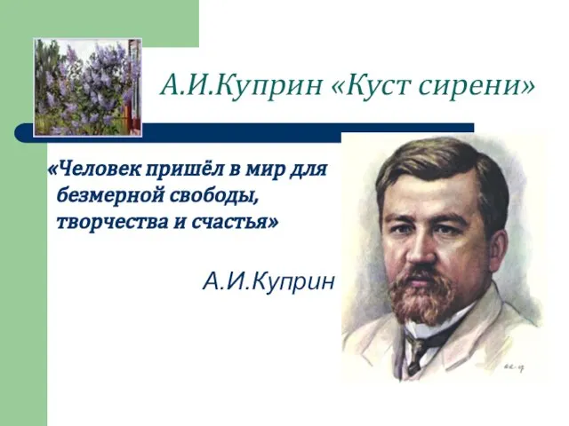 А.И.Куприн «Куст сирени» «Человек пришёл в мир для безмерной свободы, творчества и счастья» А.И.Куприн