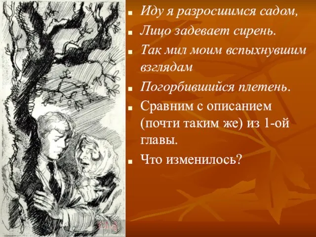 Иду я разросшимся садом, Лицо задевает сирень. Так мил моим вспыхнувшим взглядам